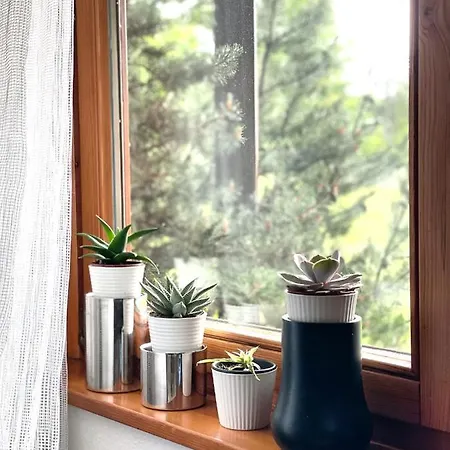 Apartamento Viktor