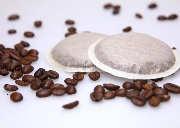 Viktor Lejlighed Titisee-Neustadt